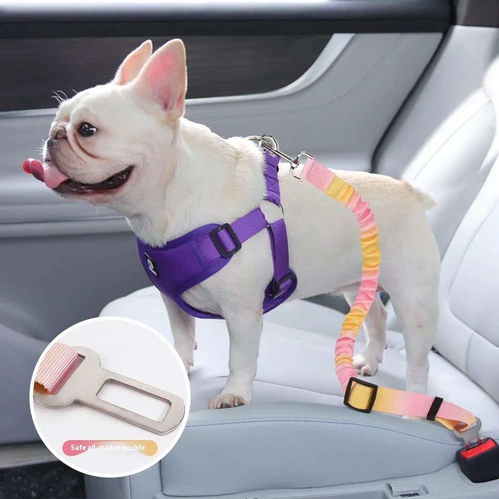 Retractable Vehicle Dog Leash Adjustable Car Safety Belt Anti Chew Durable Elastic Tether for Pet Travel Secure Attachment