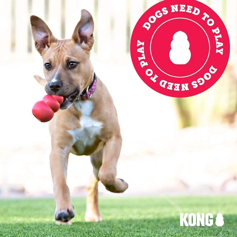 KONG Classic Toy & Enhanced Ziggies Treats Combo Pack - Durable Chew Toy for Dogs - with Enhanced Ziggies Treats - Dog Accessori