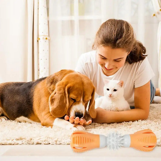 Dog Teeth Cleaning Toy Puppy Chewing Toy For Teething Interactive Rubber Chew Toys For Dogs Tough Dog Toothbrush Stick For Play